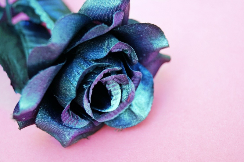 blog-12