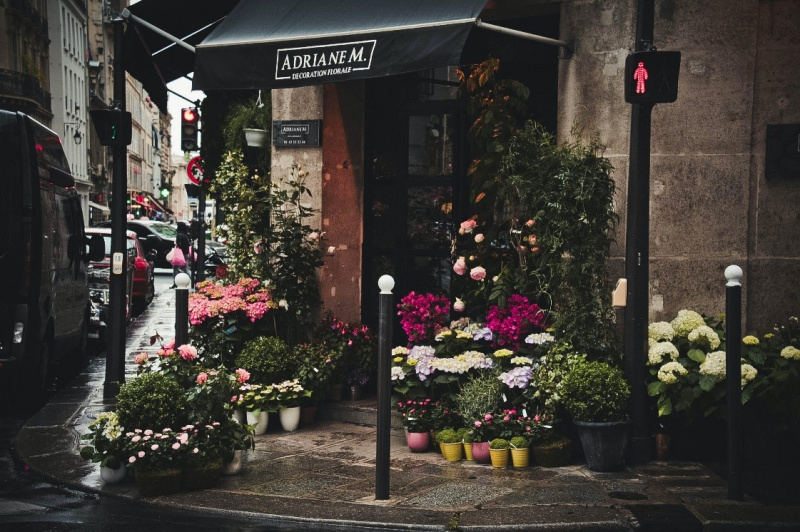 blog-12